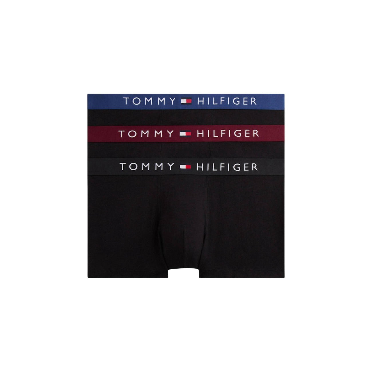 Tommy Hilfiger Men Underwear