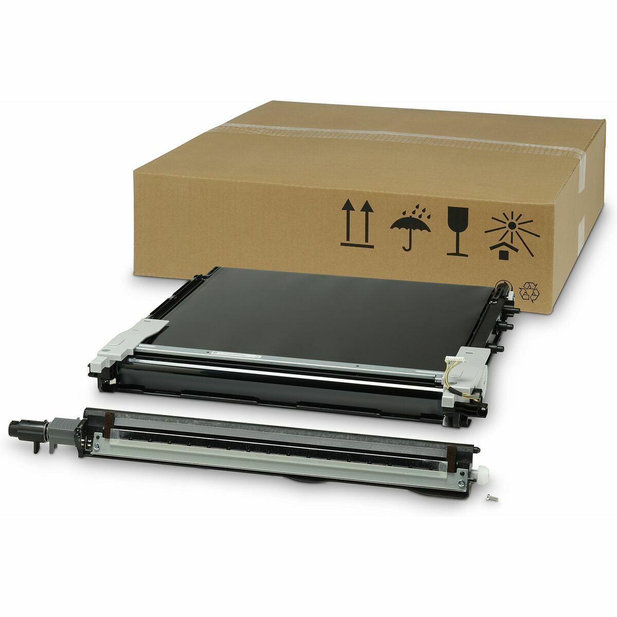Transfer belts