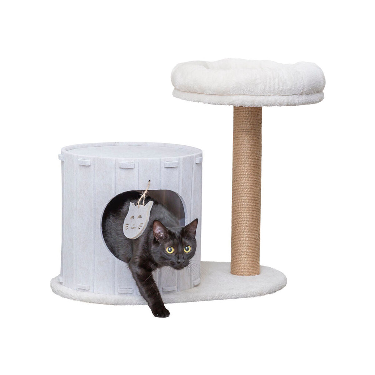 Beds, blankets and furniture