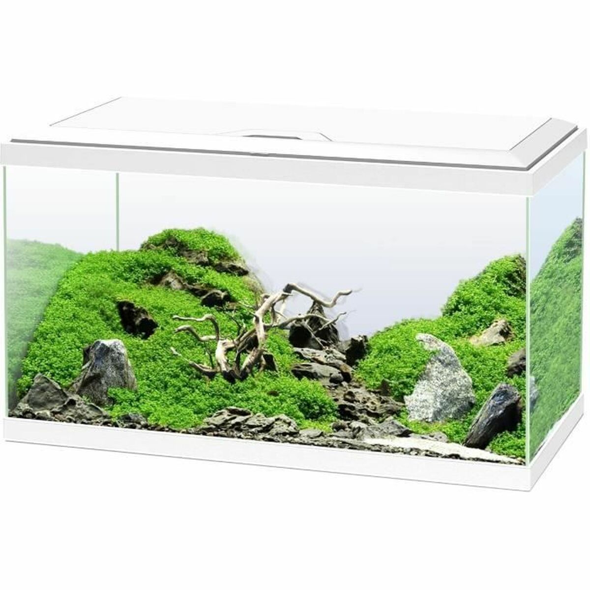 Aquariums 