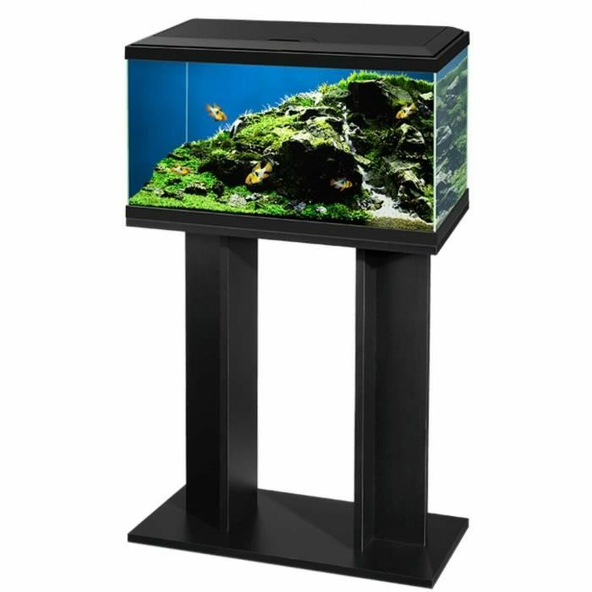 Bases for aquariums