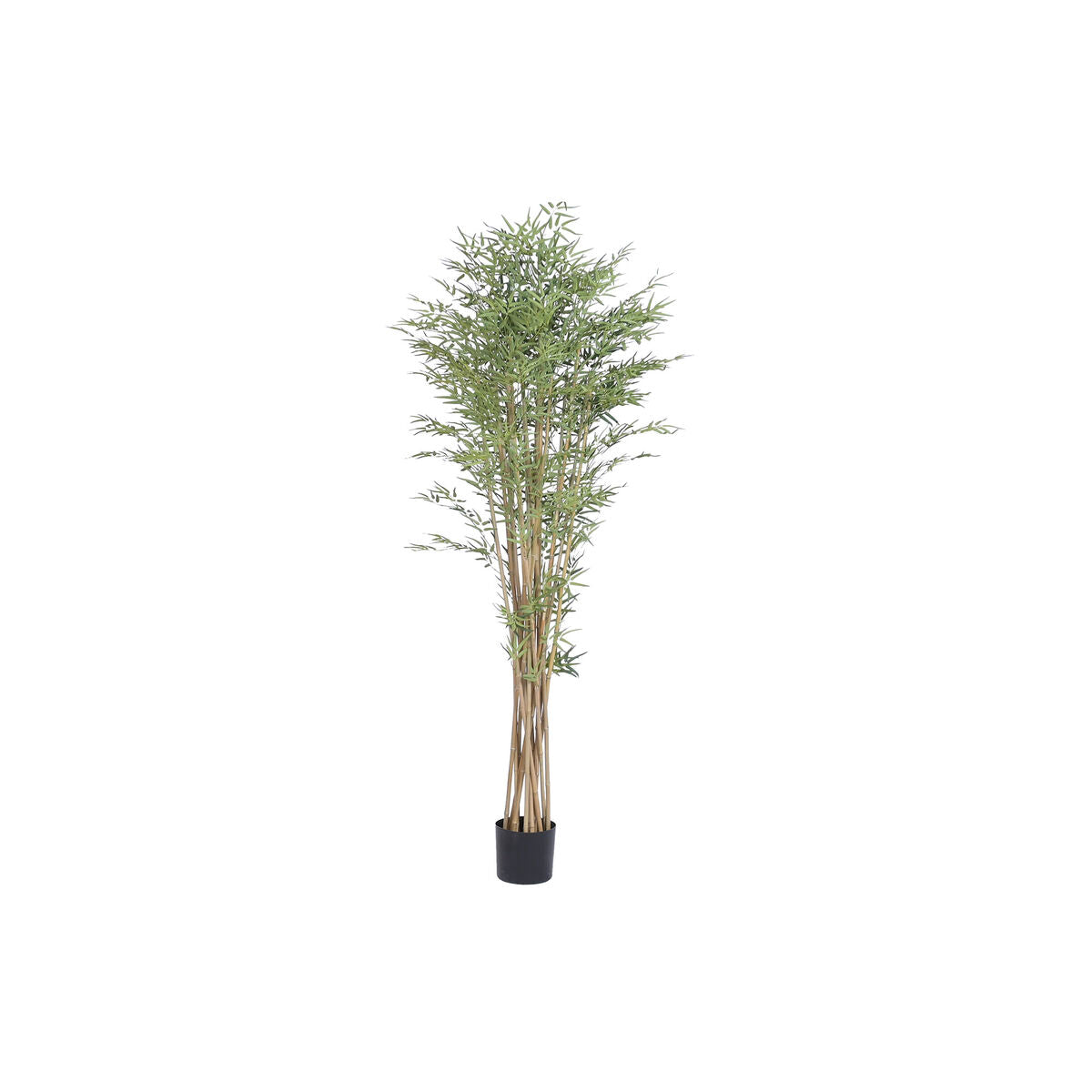 Artificial Plants