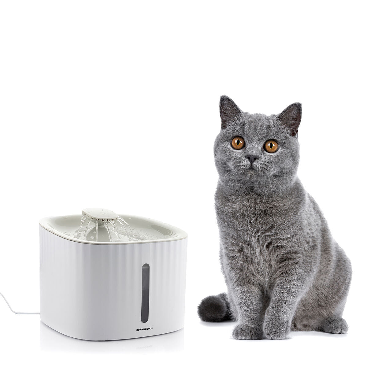Feeding and drinking bowls