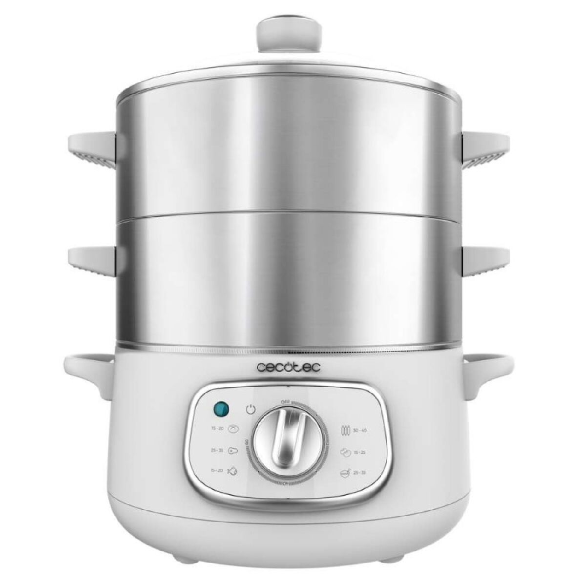 Electric Steamers