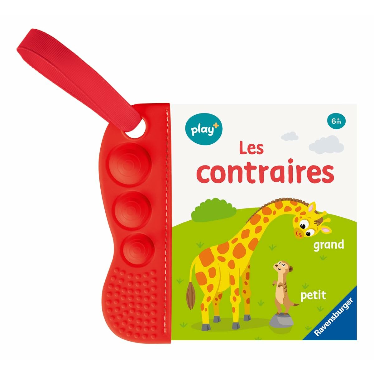 Activity Books
