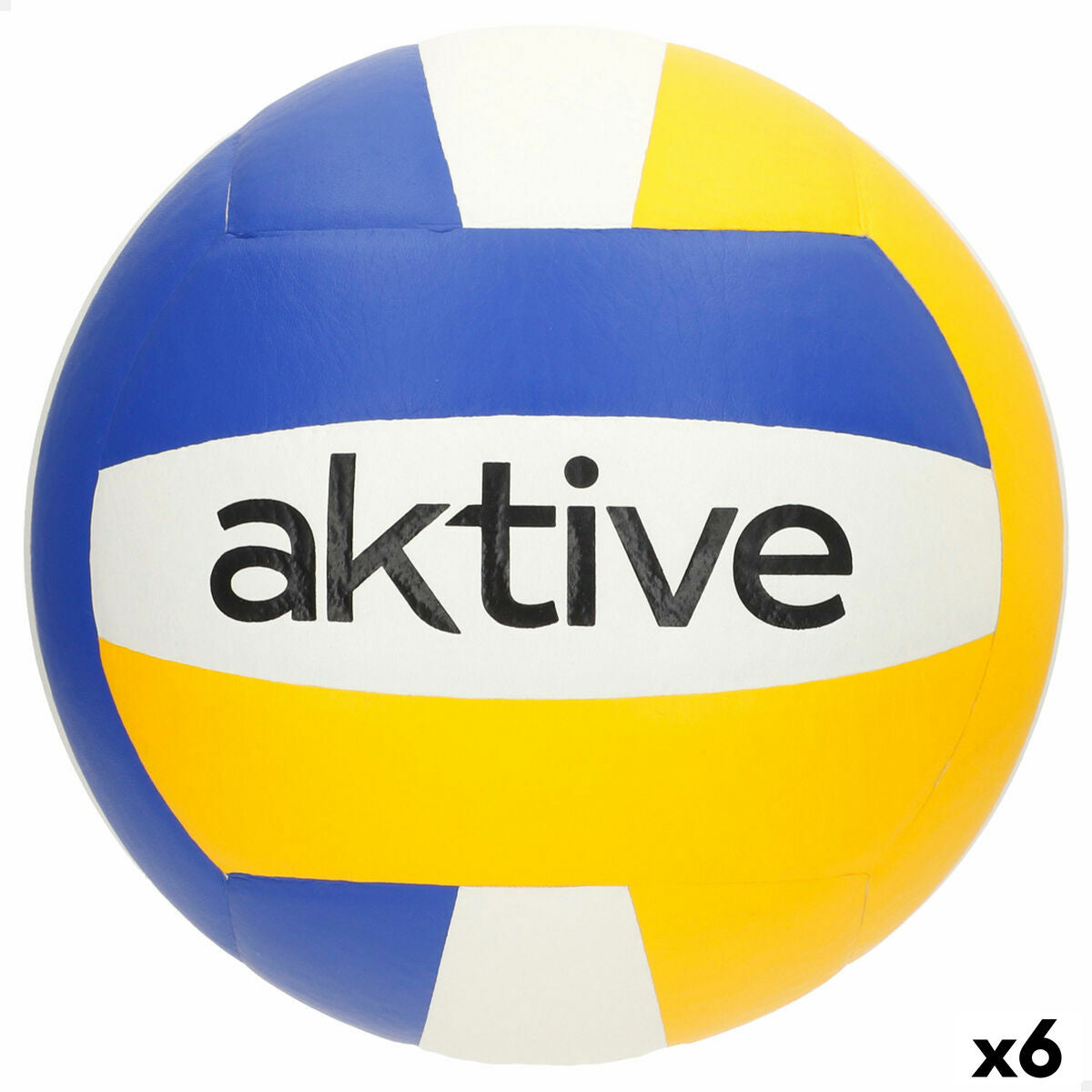 Indoor Volleyballs