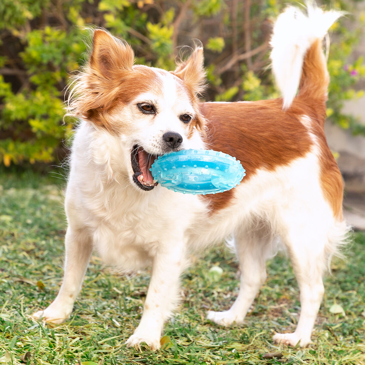 V14H3A95EBBD157235F9B4F876CB4C0C1A46R5279733P6