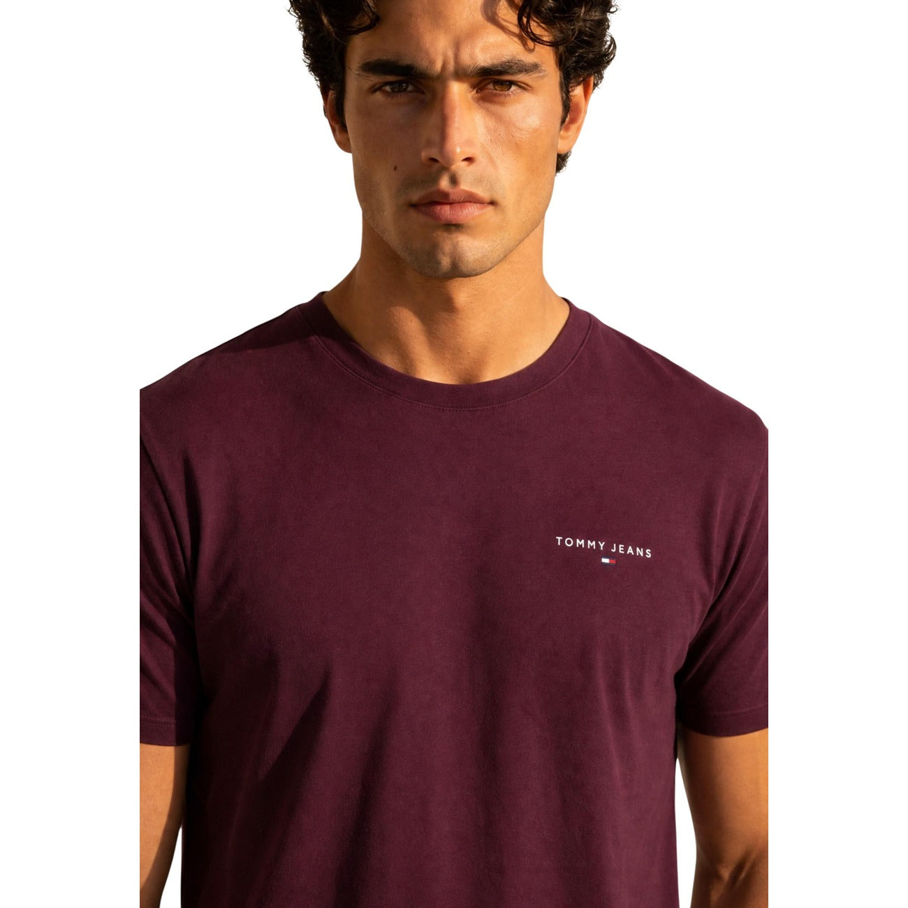 Tommy Hilfiger Jeans Men T-Shirt