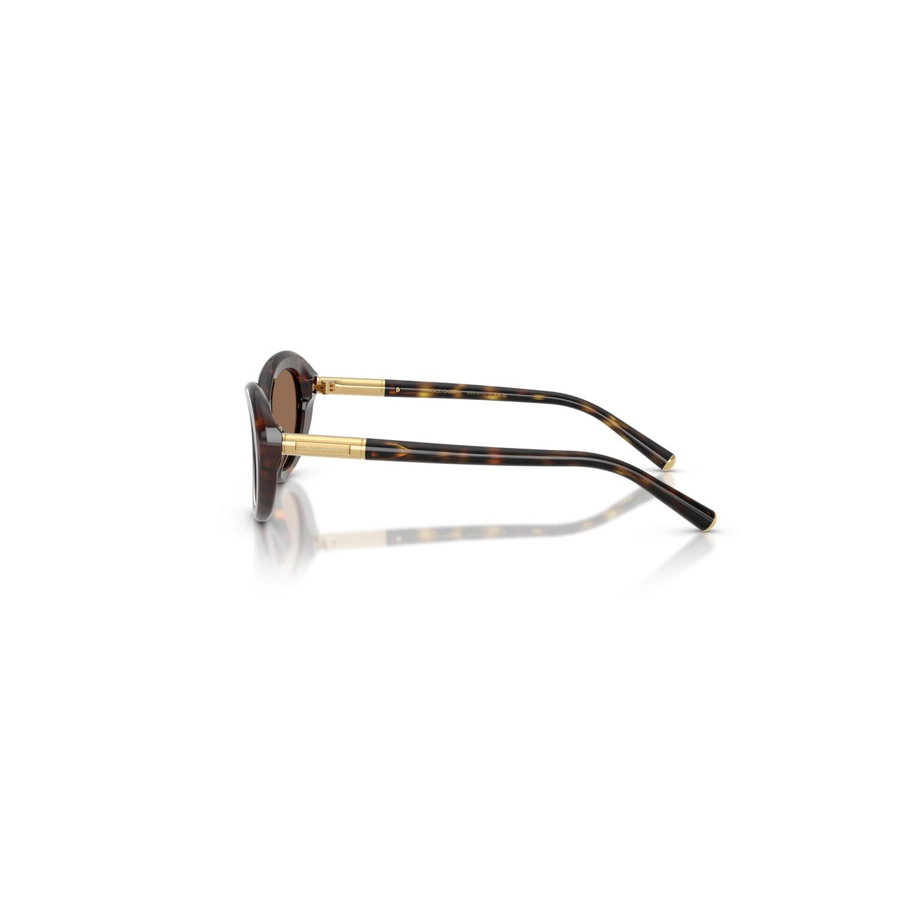 Dolce & Gabbana  Women Sunglasses
