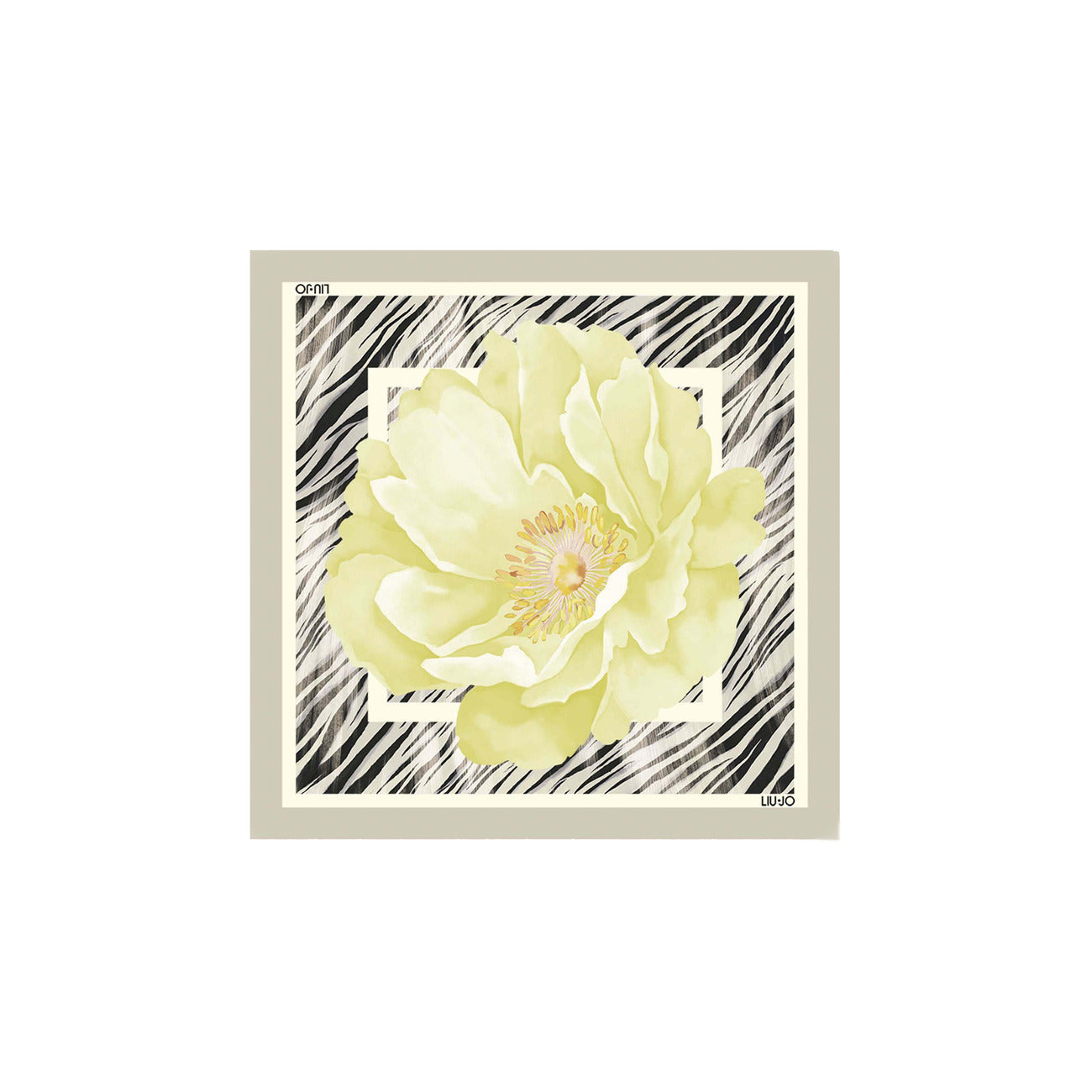 Liu Jo  Women Scarve