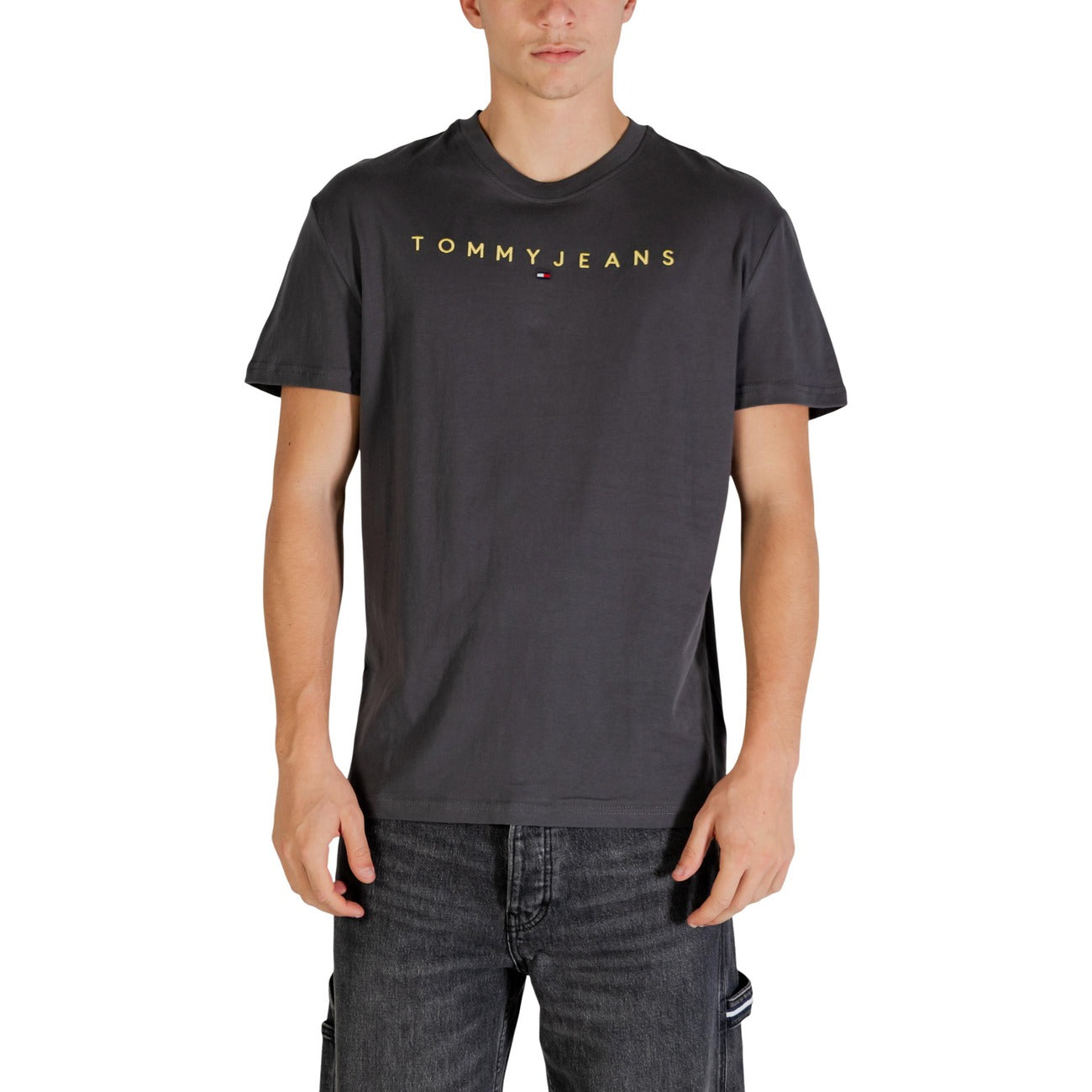 Tommy Hilfiger Jeans Men T-Shirt