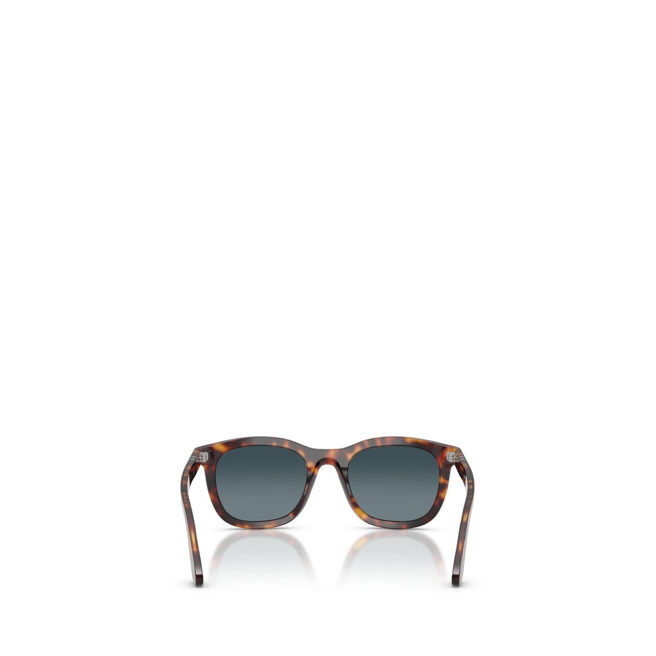 Persol Men Sunglasses